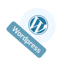 best website design company in hyderabad